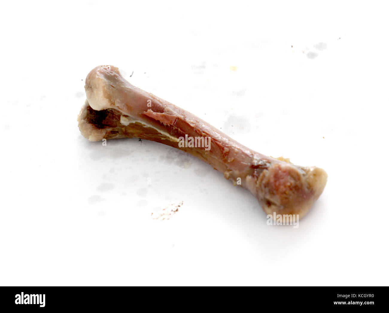 chicken drumstick bone on white oily background,image of a Stock Photo