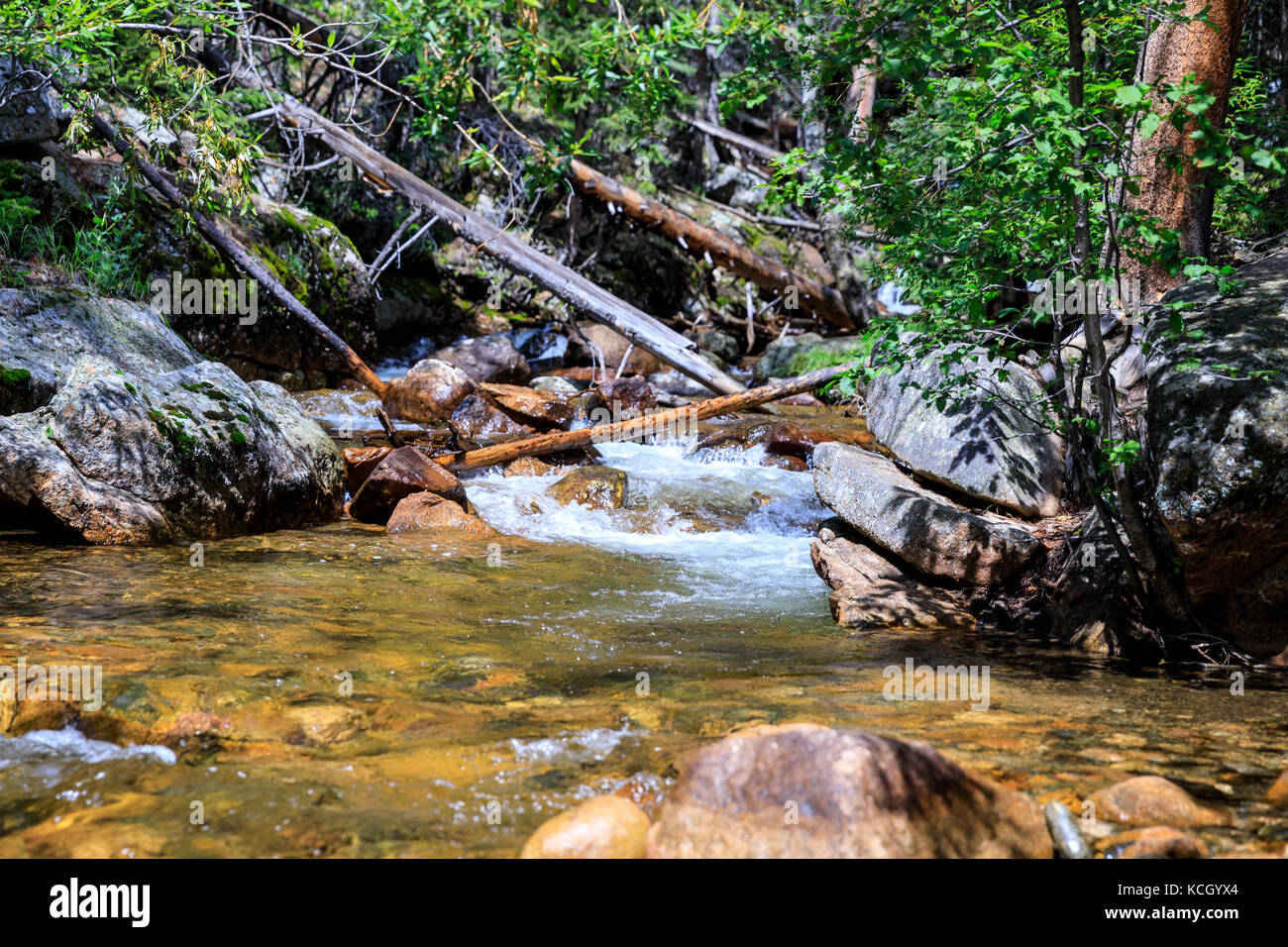 Fall River riffle in Rocky Mountain National Park in Colorado Stock ...