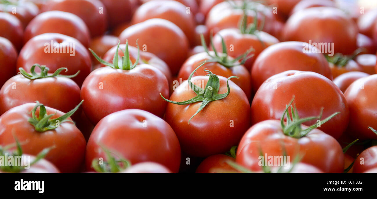 Fresh tomatoes for sale on a farmer market,image of a Stock Photo - Alamy