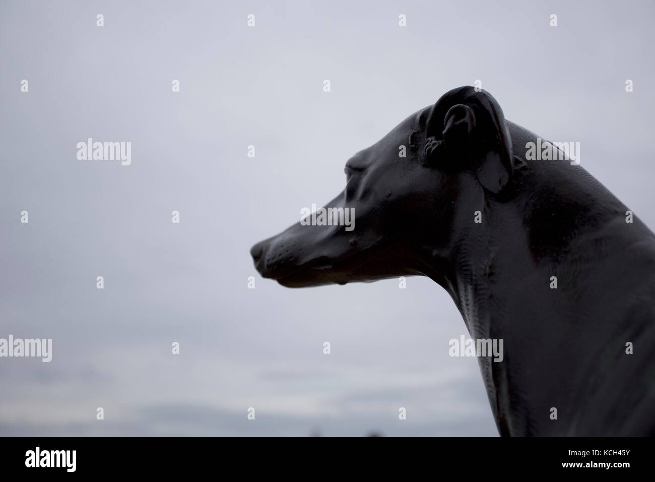 Statue of greyhound hires stock photography and images Alamy