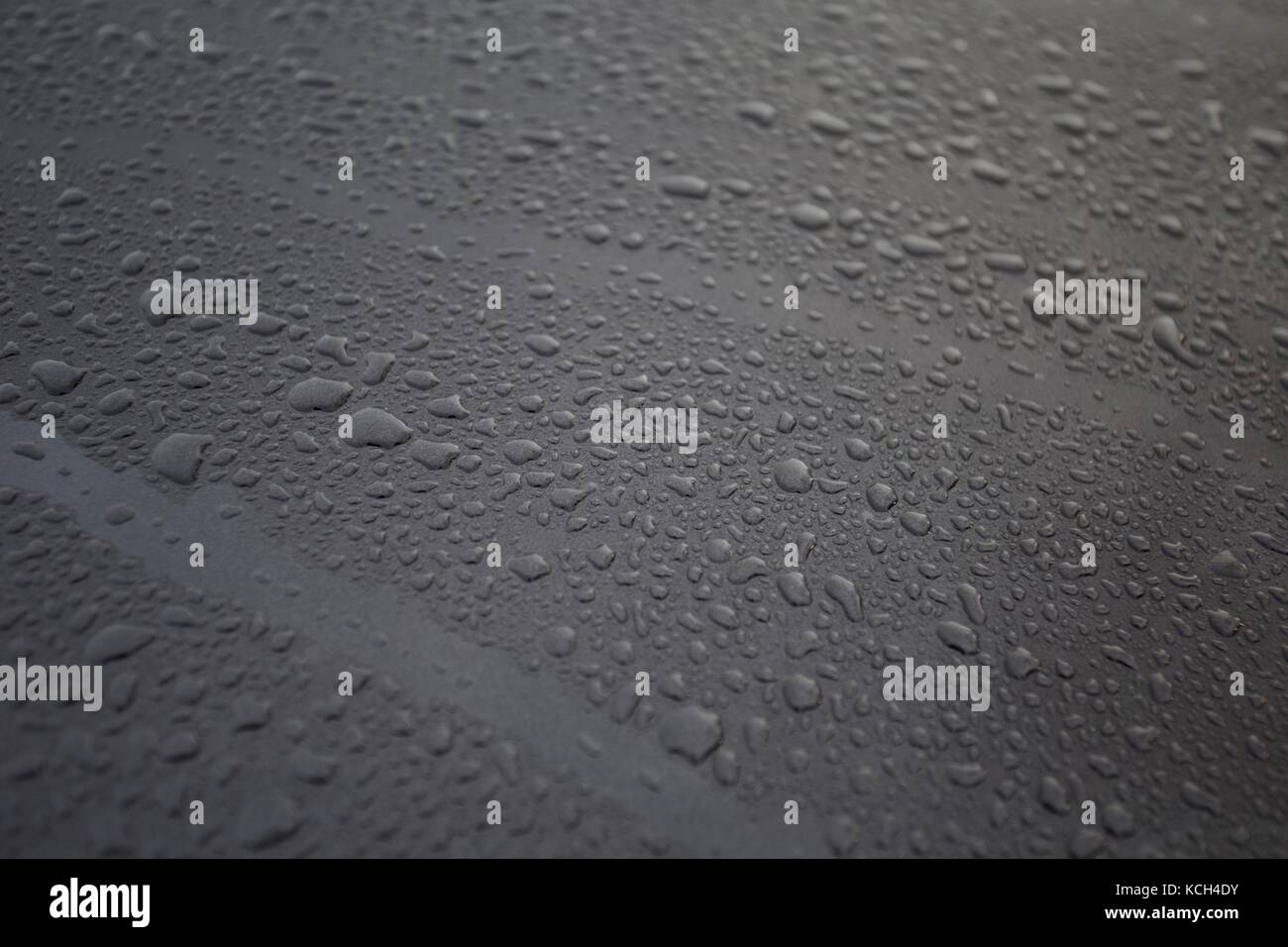 rain on car Stock Photo Alamy