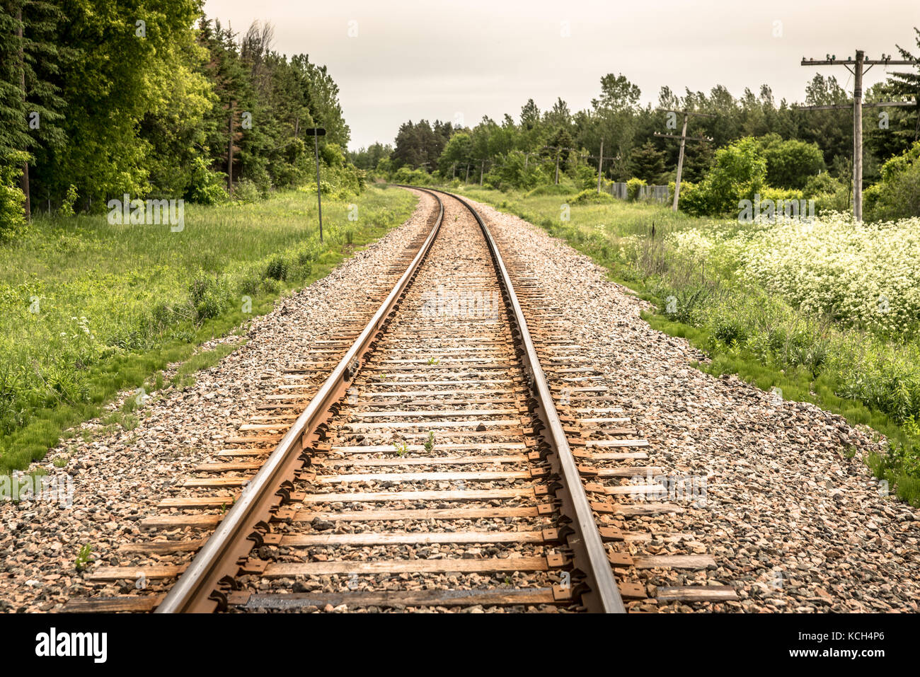 Railway tracks going into the distance with dense woods on either side Stock Photo