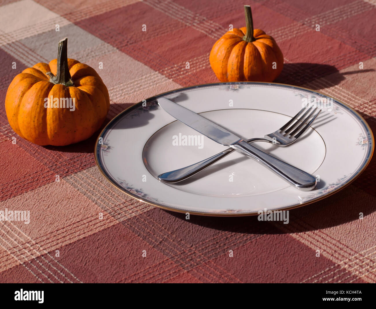 A fall place setting in the sun with two pumpkins on a plaid table cloth Stock Photo