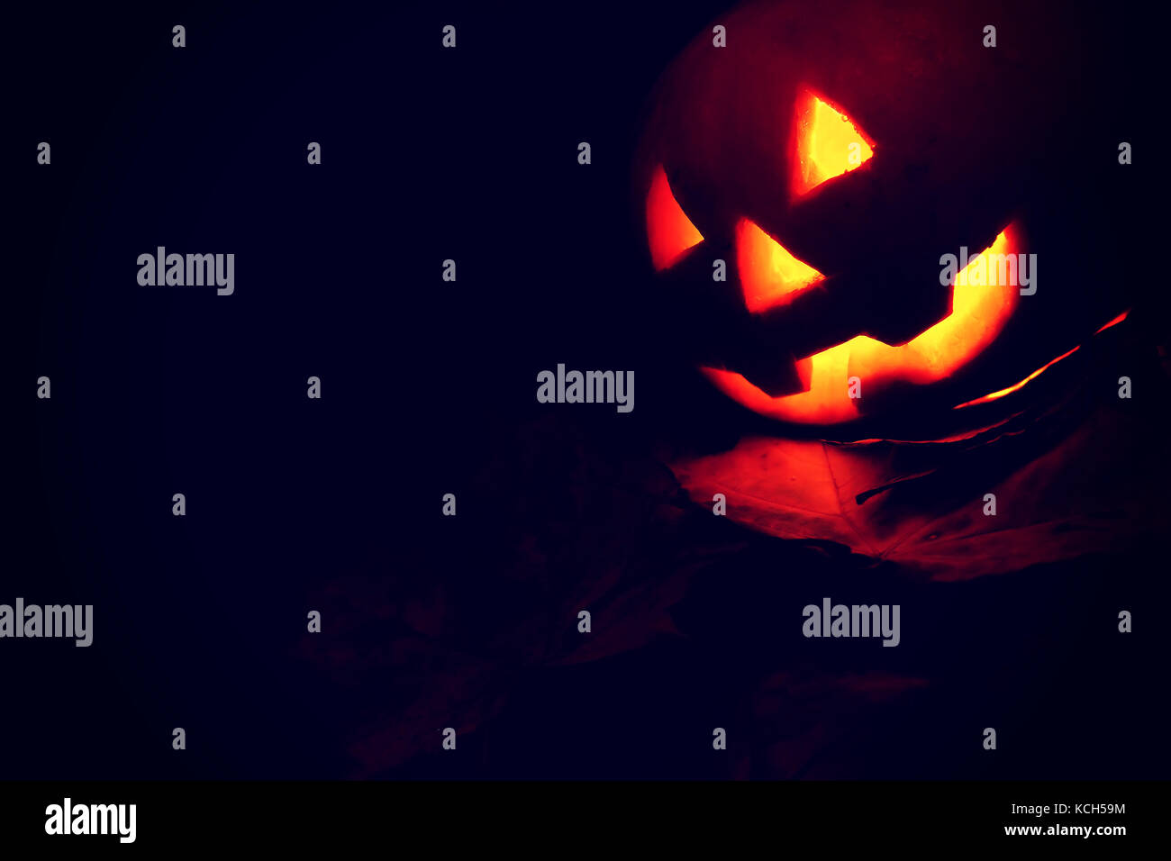 Jack-o'-lantern pumpkin looking out corner on black background. Halloween background with traditional pumpkin and copy space. Stock Photo