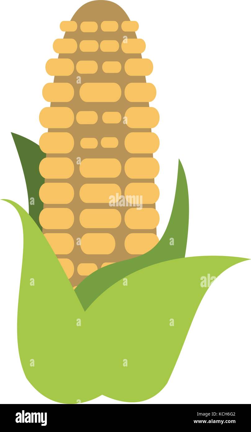vegetable icon image Stock Vector Image & Art - Alamy
