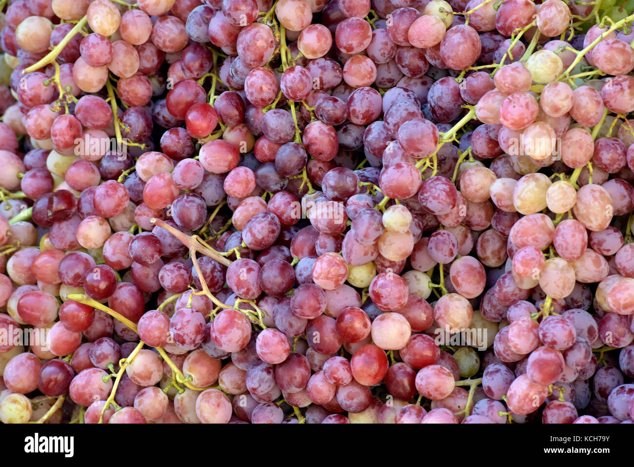 Green and red grapes for sale on a market fruit and vegetable stall in kerkira, corfu, greece