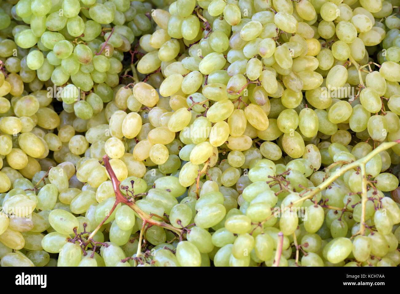 Green and red grapes for sale on a market fruit and vegetable stall in kerkira, corfu, greece