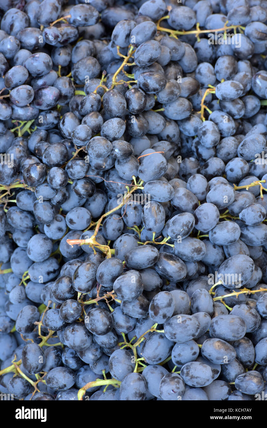 Green and red grapes for sale on a market fruit and vegetable stall in kerkira, corfu, greece