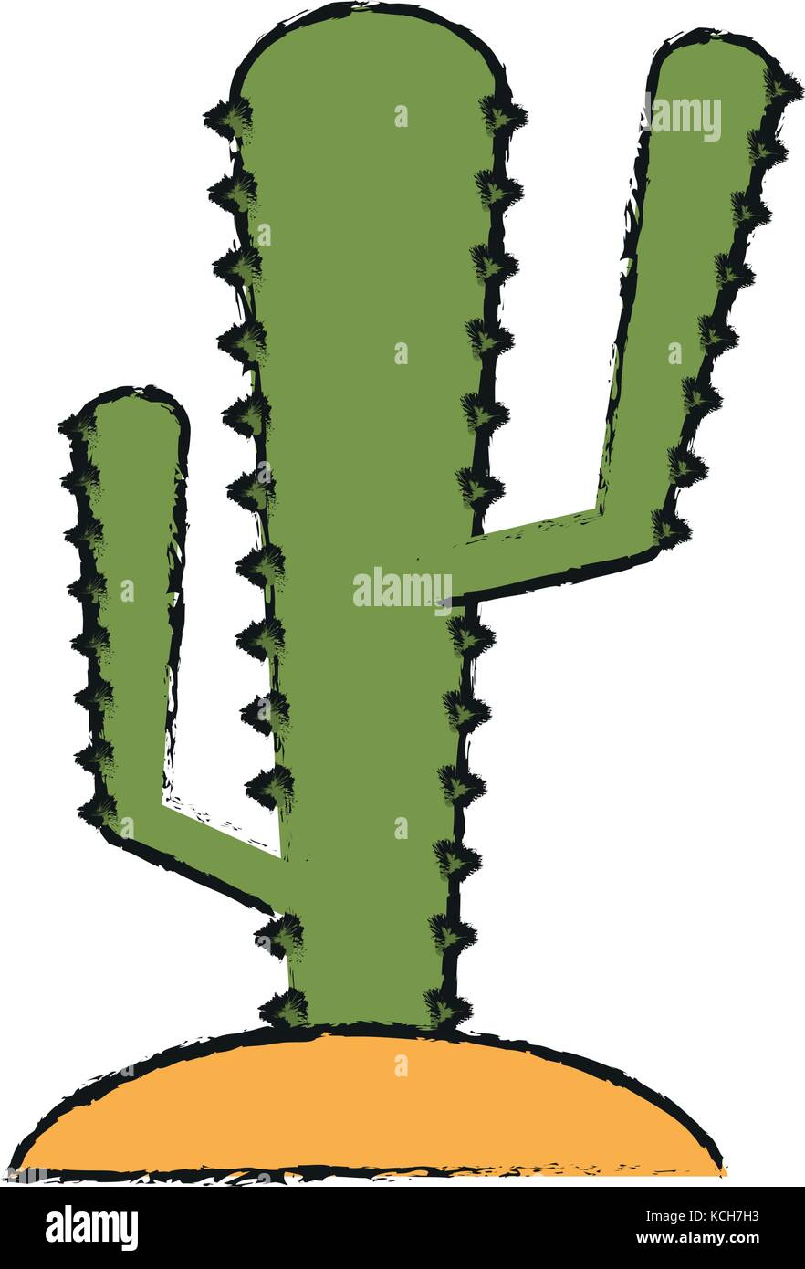 Cactus desert plant Stock Vector Image & Art - Alamy