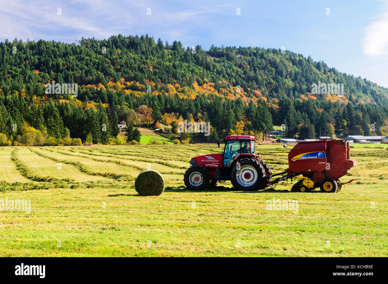A tractor making hay bales in a field near Ladysmith, British Columbia. Stock Photo