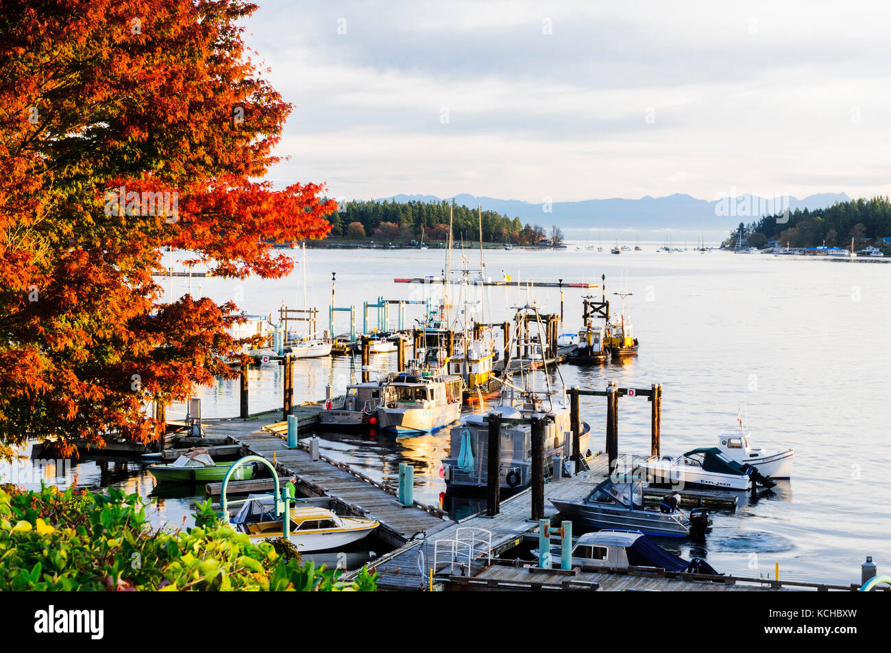 The Nanaimo harbour with pleasure boats and fishing vessels in Nanaimo, British Columbia. Stock Photo