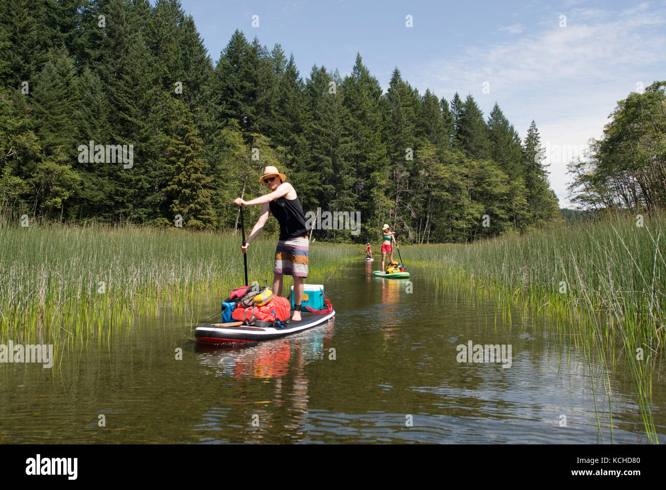 Standup paddleboard (SUP) touring in Main Lake Provincial Park, Quadra