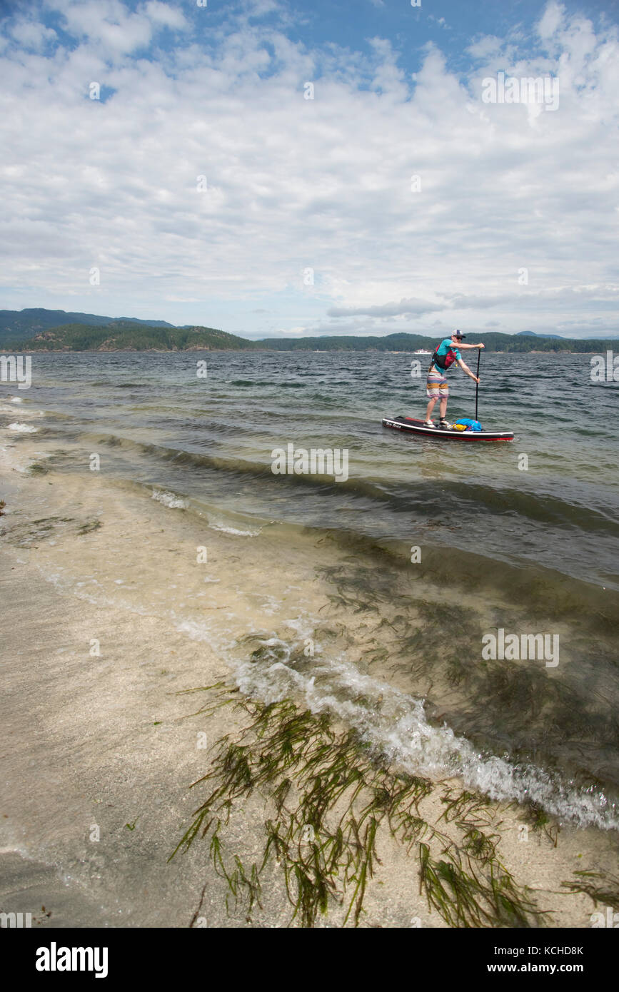 Stand-up paddleboard (SUP) touring in Heriot Bay, Quadra Island, British Columbia, Canada Stock Photo