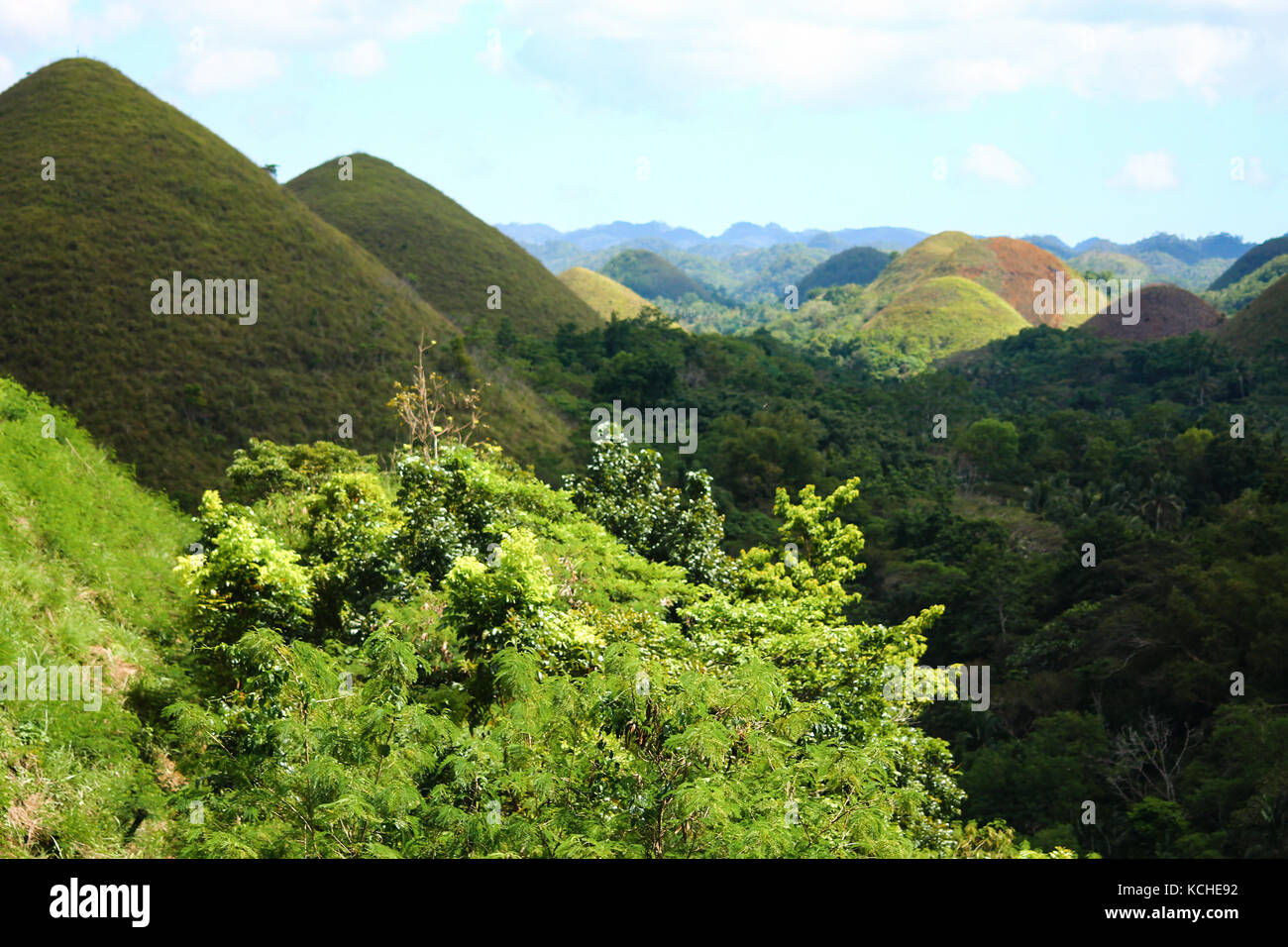 Chocolate Hills are a geological formation in the Bohol province of the Philippines that  are actually made of grass-covered karst  limestone Stock Photo