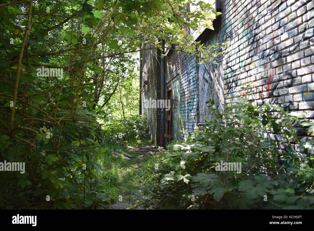 door in the shadows Stock Photo - Alamy