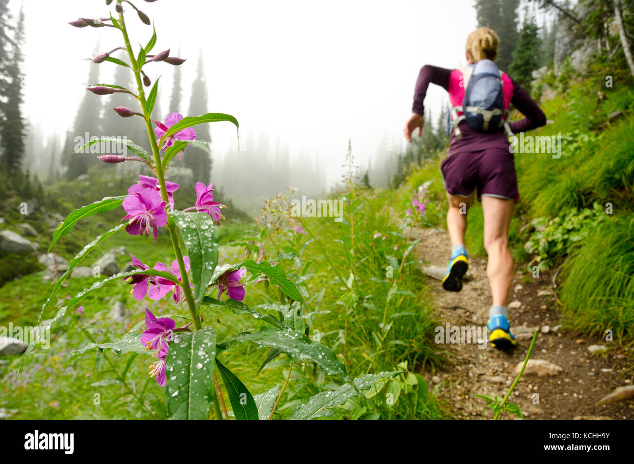 A female athlete trail running in Mount Revelstoke National Park, BC Stock Photo