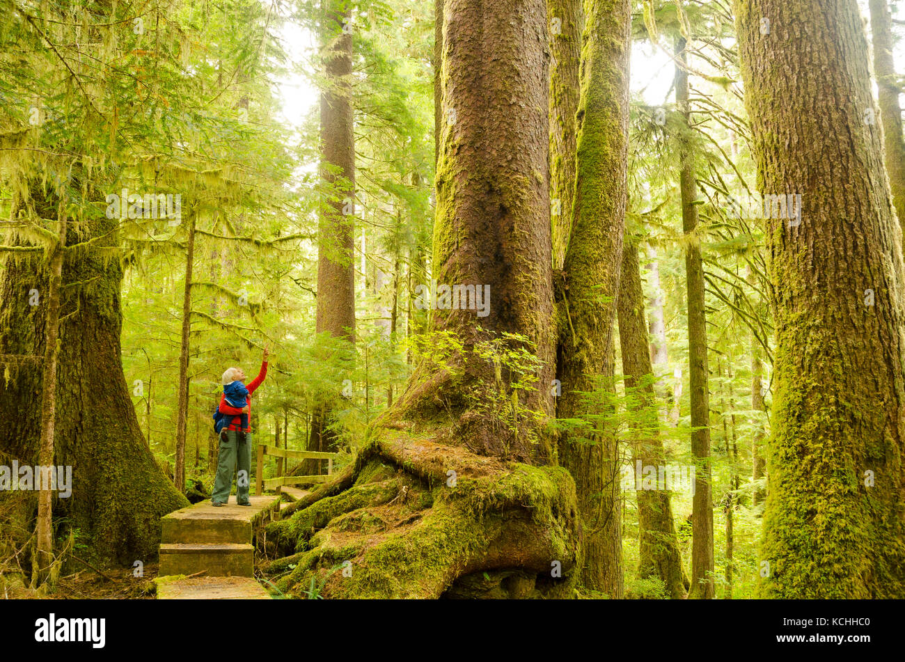 A mother and her son staring up at a massive Sitka spruce in the old-growth of Carmanah Valley, Vancouver Island, BC Stock Photo