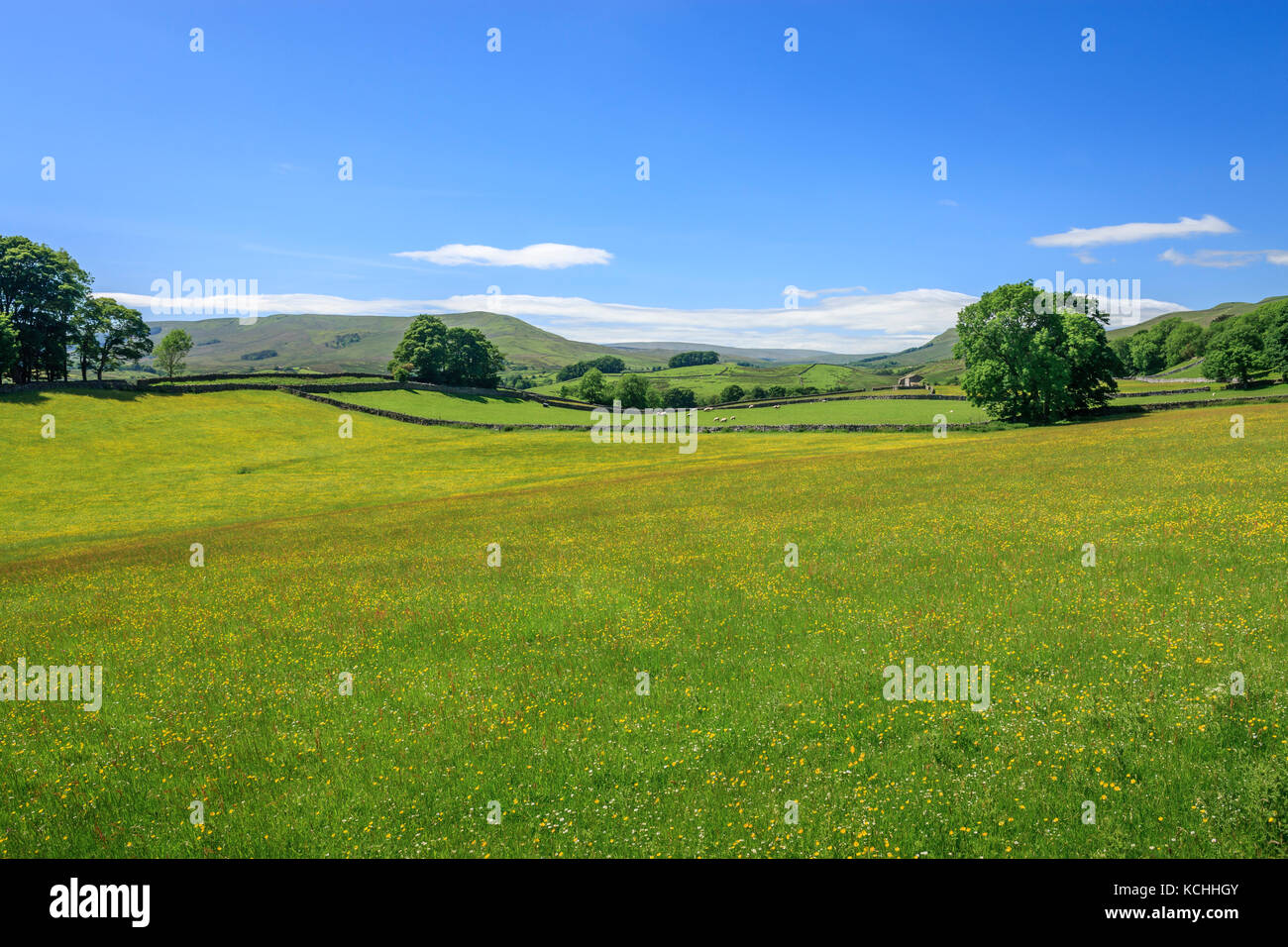 Wensleydale countryside North Yorkshire England Stock Photo