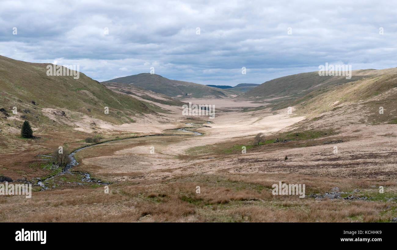 View along the valley of the Afon Hengwm from Bryn Cras on the mountain of Pumlumon (Plynlimon) in the Cambrian Mountains, mid-Wales Stock Photo