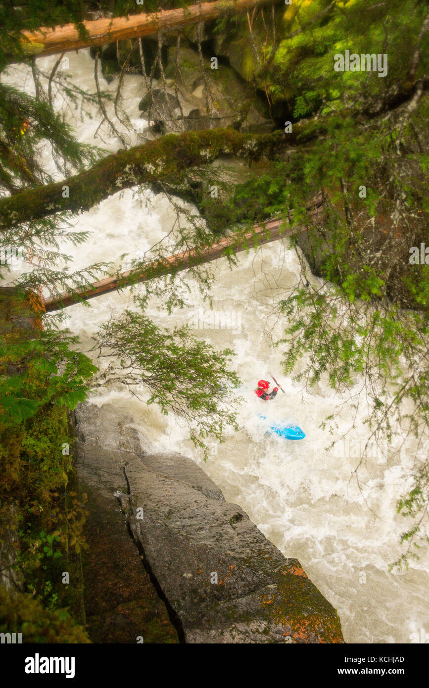 A daring whitewater paddler on the first descent of the Incomappleux River, British Columbia Stock Photo