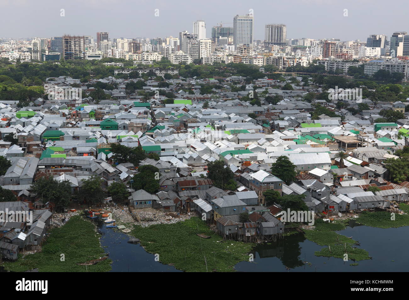 Kokrakli katta dumbalarning fotosuratlari