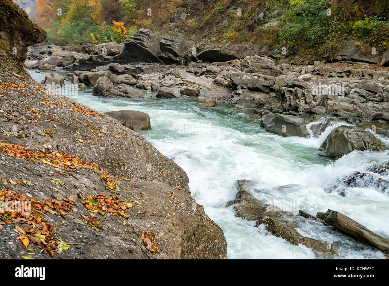 Fall landscape with mountain river and forest Stock Photo - Alamy