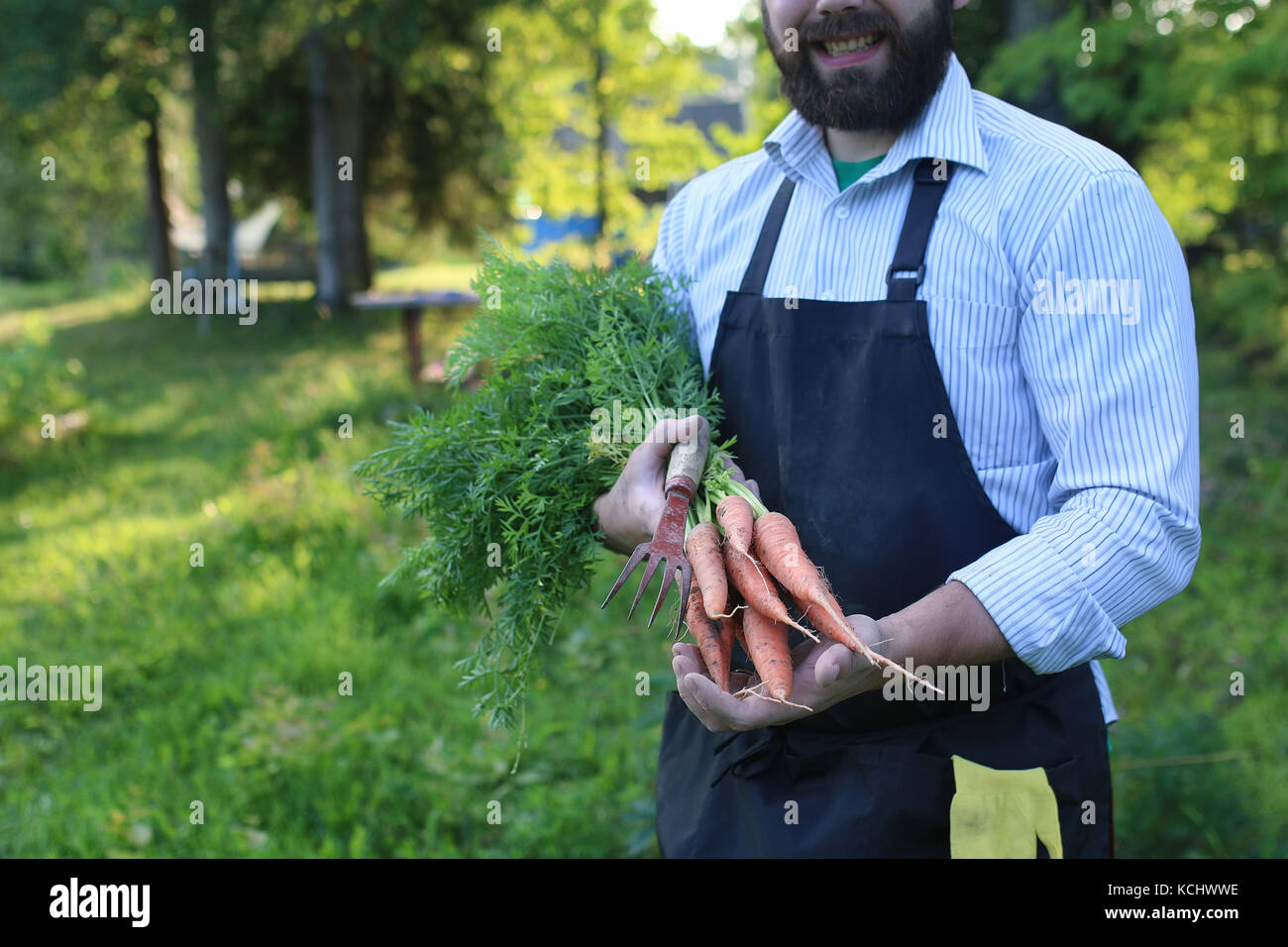 gardener man holding carrot harvest in a hand Stock Photo - Alamy