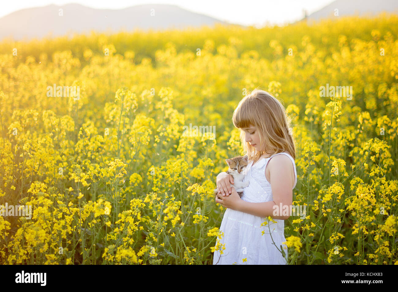Girl in a rapeseed field Stock Photo - Alamy