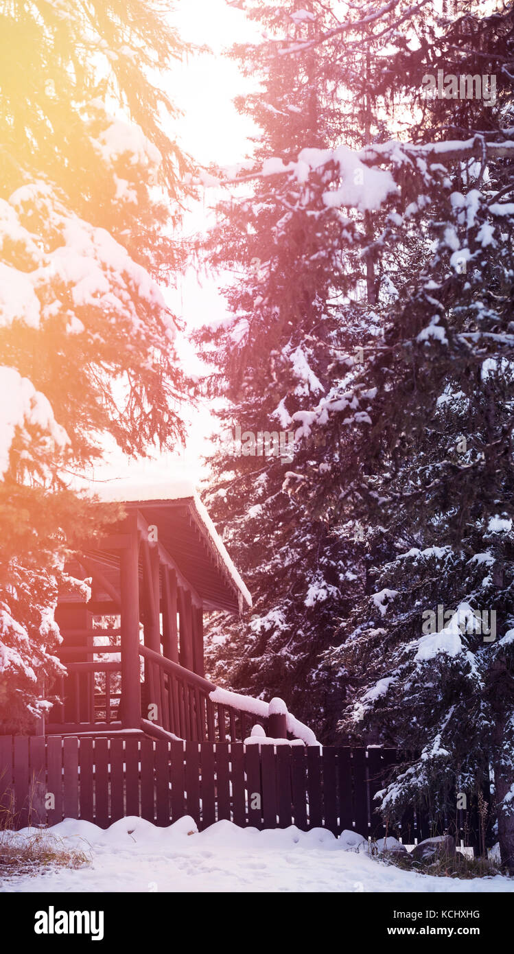 Cottage amidst snow covered trees in forest Stock Photo - Alamy