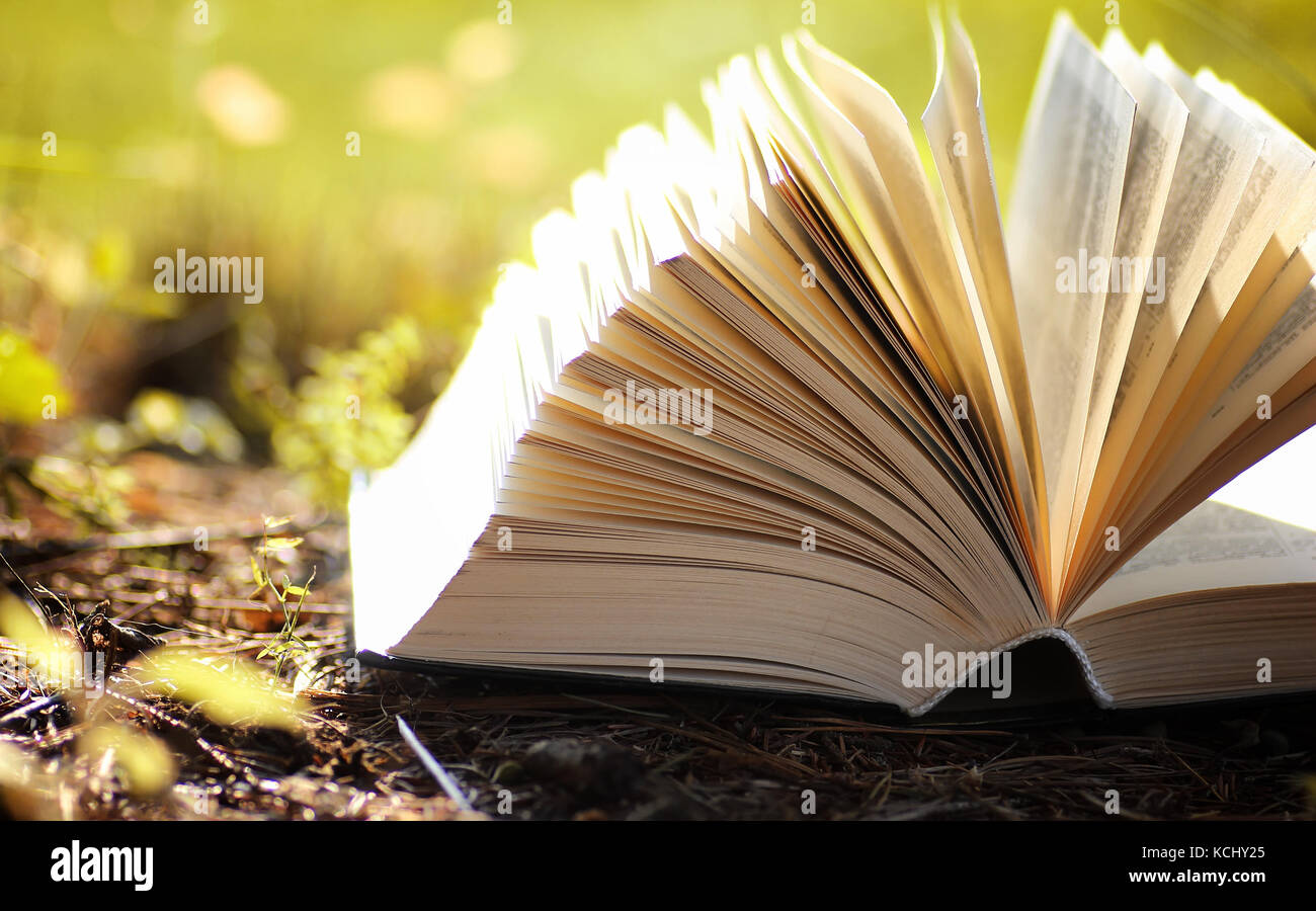 opened book in yellow autumn Stock Photo - Alamy