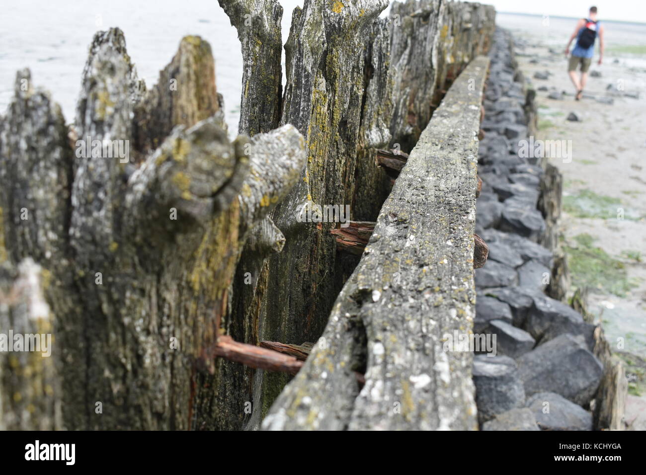 wood sea wall Stock Photo - Alamy