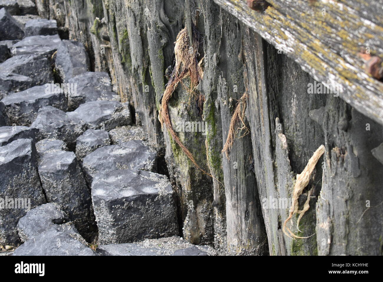 wood sea wall Stock Photo Alamy
