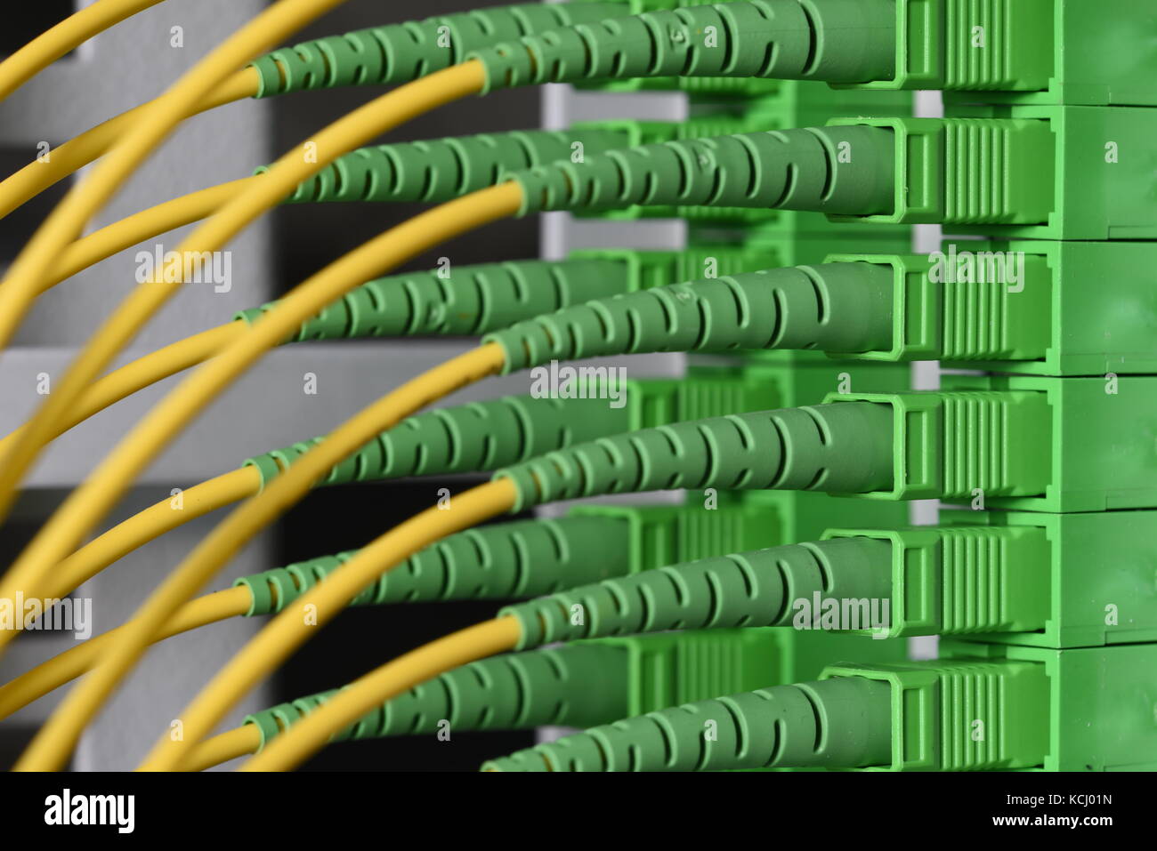 Fiber optical network cables Stock Photo