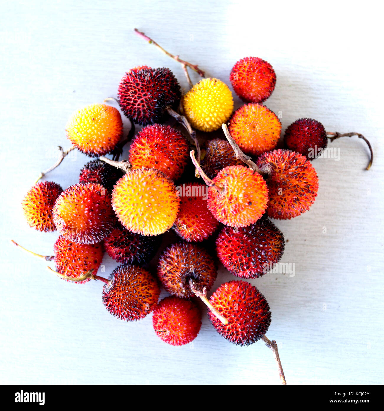 Edible red berries of the arbutus tree or shrub, native to warm