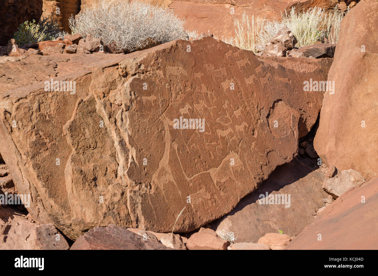 Famous animal rock engravings at Twyfelfontein in Damaraland, Namibia, Southern Africa Stock Photo
