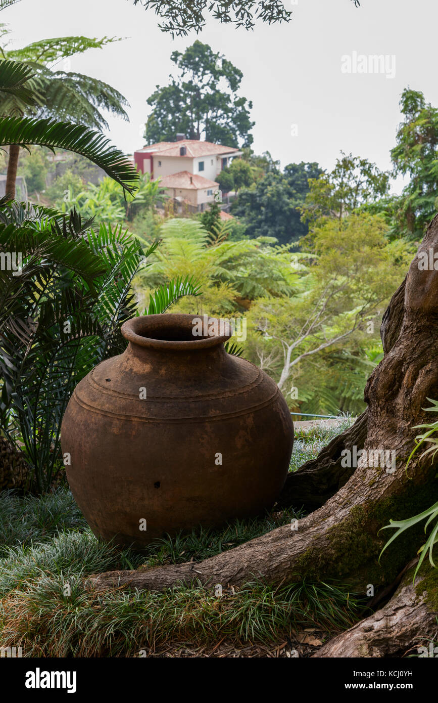 Traditional Clay Pot in the Tropical Gardens of the Monte Palace in Funchal, Madeira Stock Photo