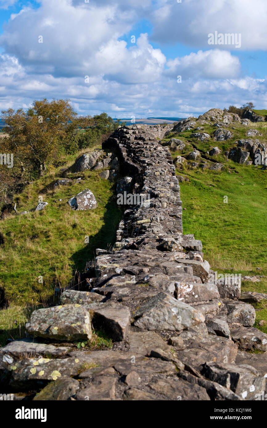 Section of Roman Hadrians Wall at Walltown Crags Greenhead ...