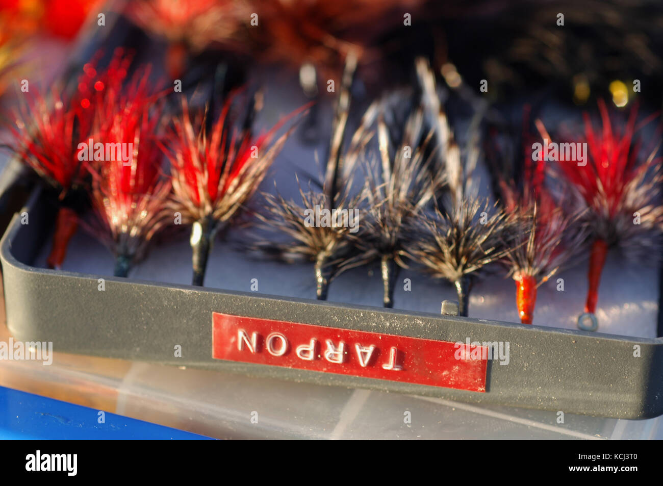 Flies used for fly fishing for juvenile baby tarpon on the flats and rivers of Campeche Yucatan