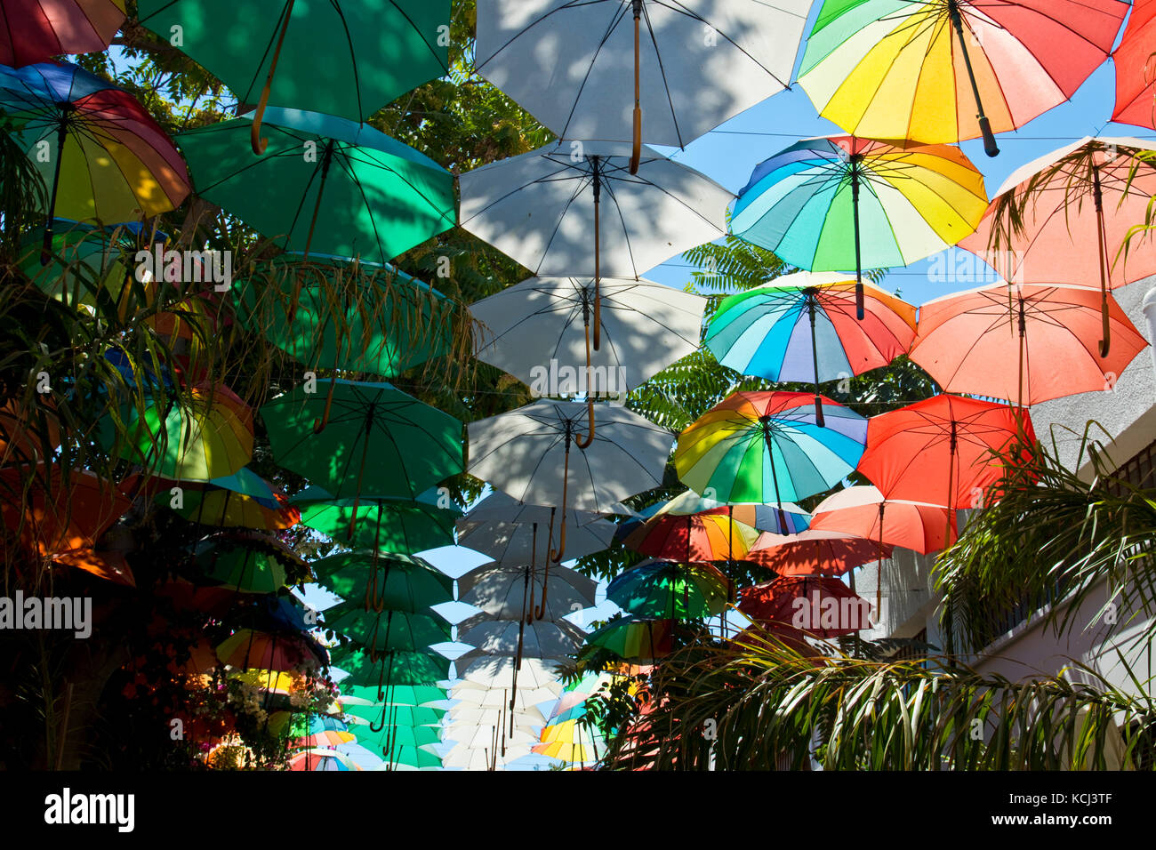 A shaded place with colour Stock Photo