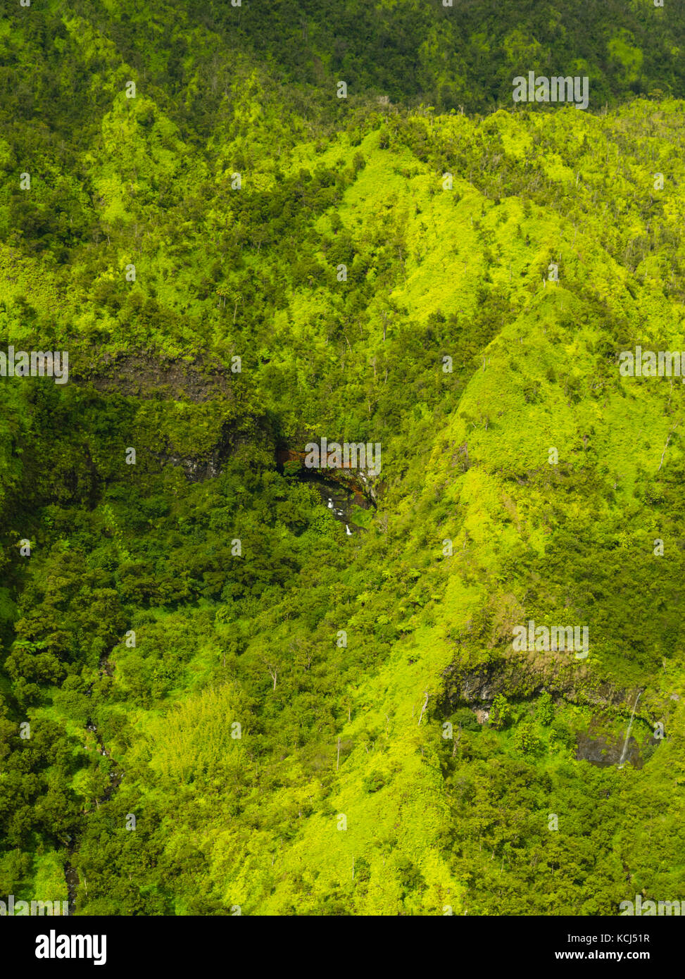 Jungle aerial hi hi-res stock photography and images - Alamy