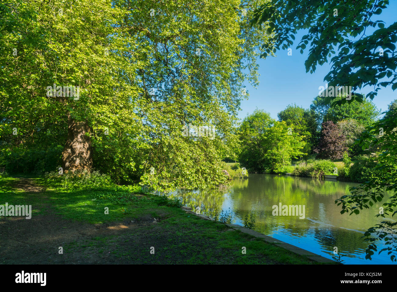 Cirencester; Abbey grounds park, lake, river Chum, Gloucestershire; UK
