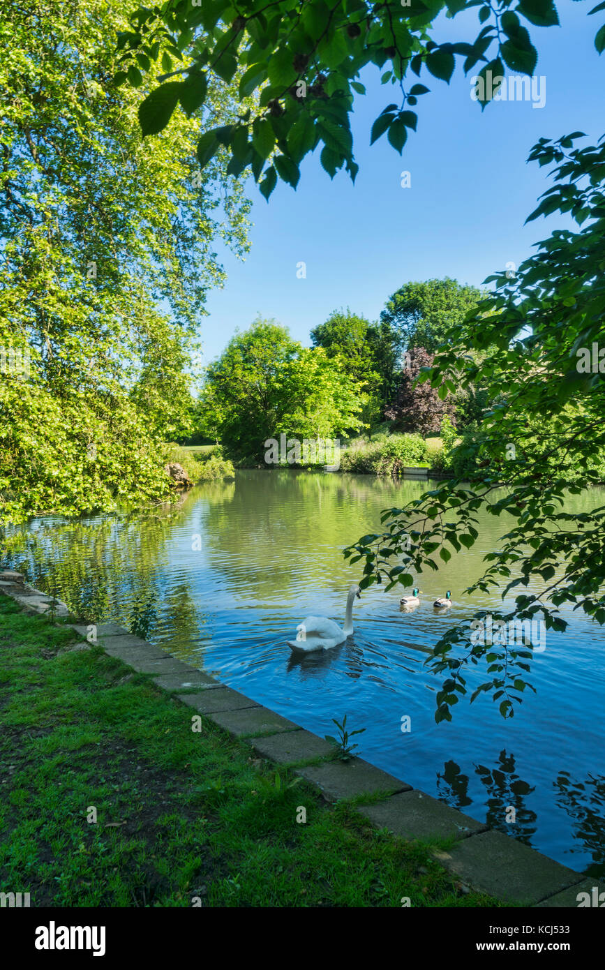 Cirencester; Abbey grounds park, lake, river Chum, Gloucestershire; UK