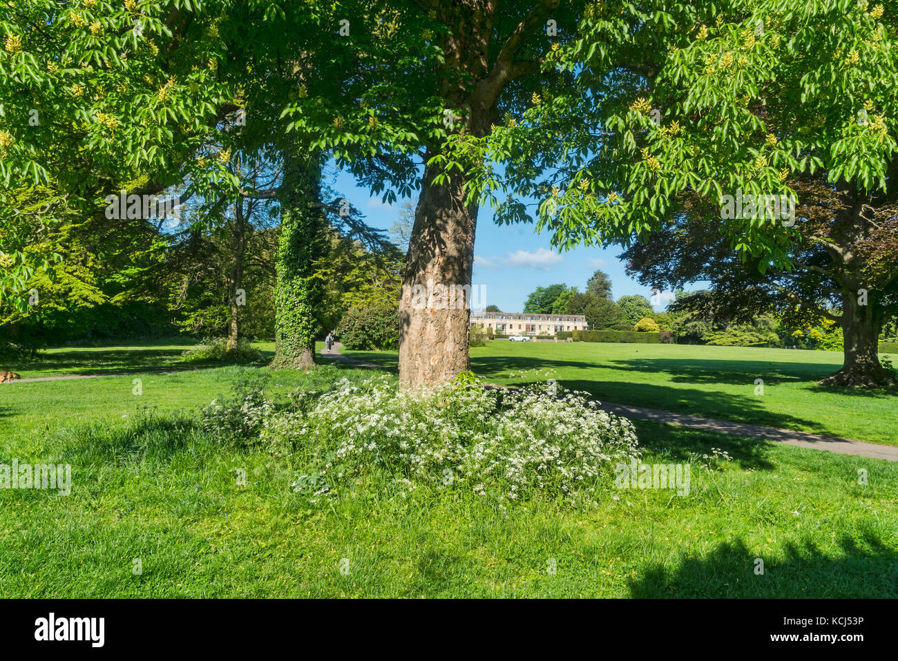 Cirencester; Abbey grounds park, river Chum, Gloucestershire; UK