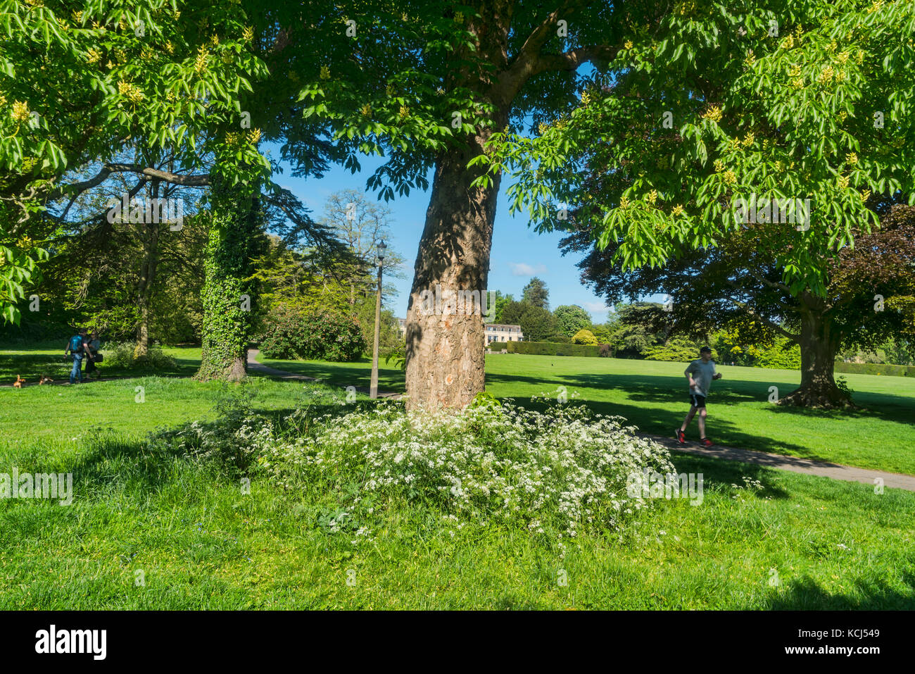 Cirencester; Abbey, Abbey grounds park, Gloucestershire; UK; England