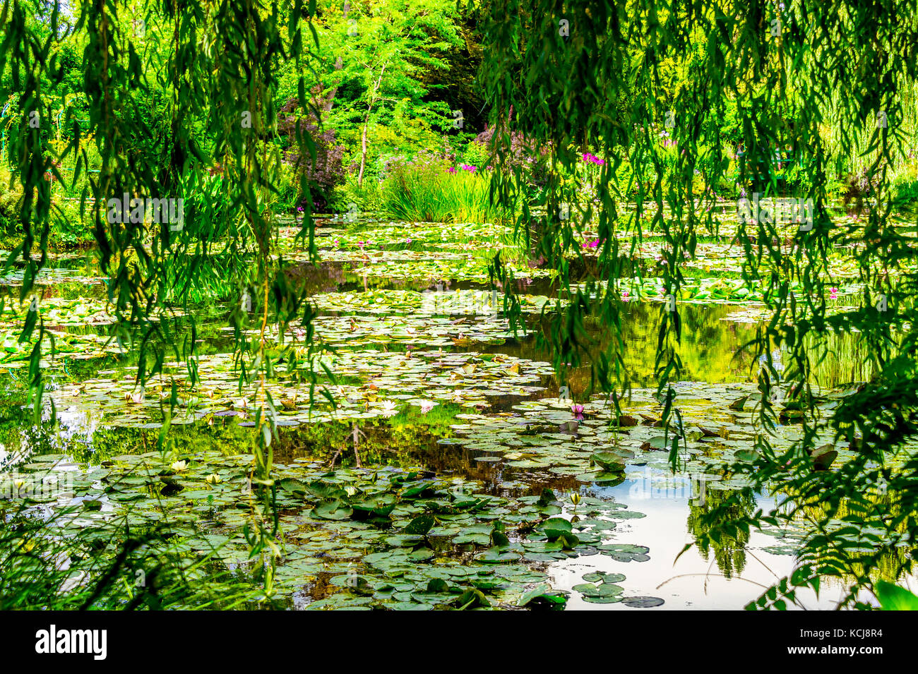 Claude monet water lily pond hi-res stock photography and images - Alamy