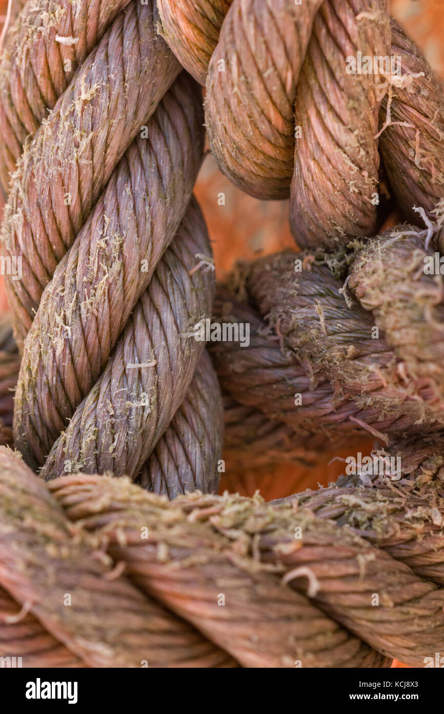 Weather Worn Rope from Cornish Seaside Town Stock Photo Alamy