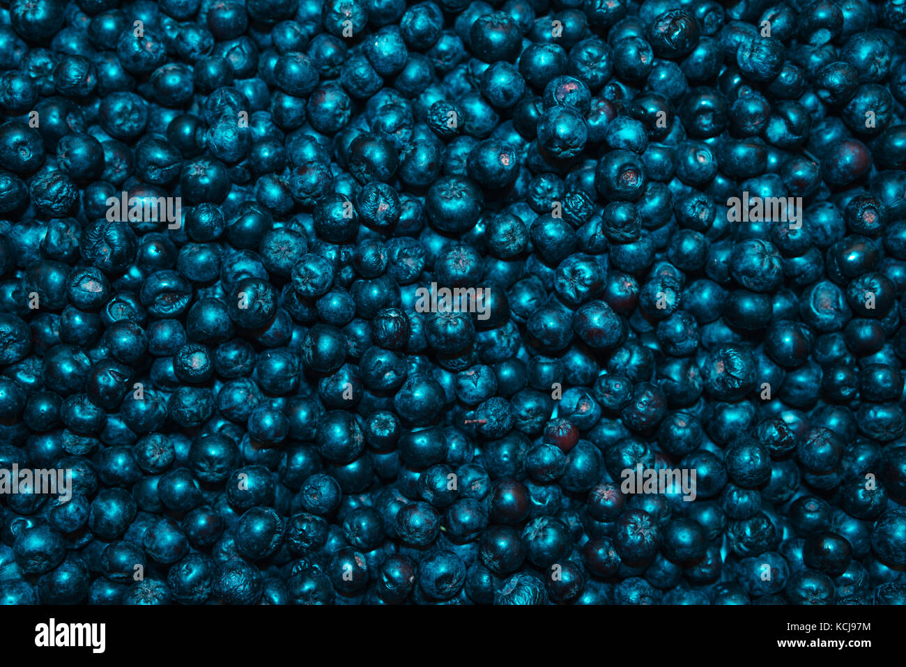 Aronia berry pile, also known as chokeberry, a genus of deciduous shrubs Stock Photo