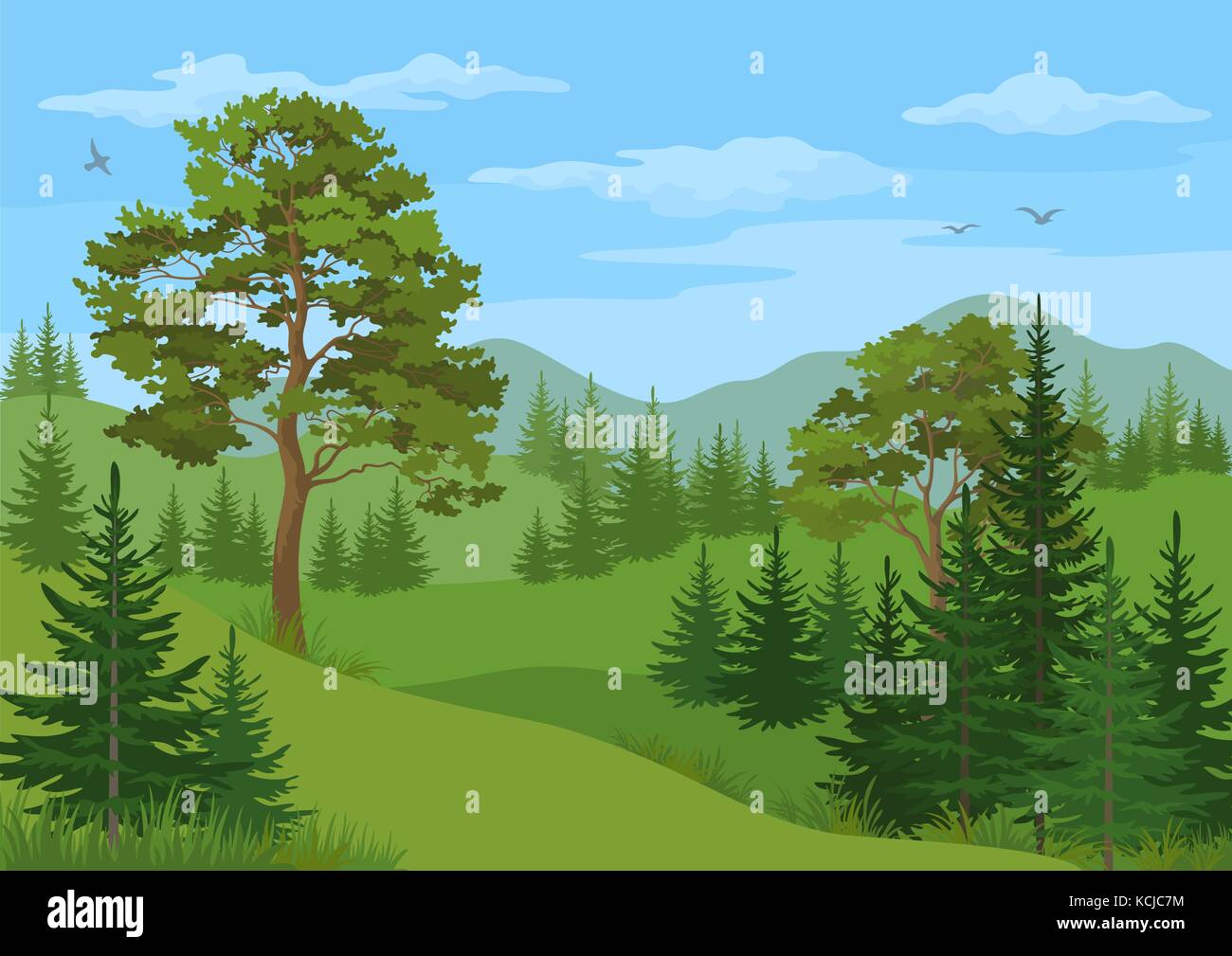 Mountain forest landscape pine trees Stock Vector Images - Alamy