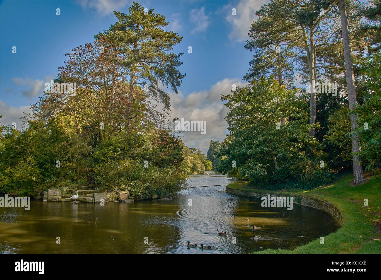 Bedford Park, Bedford, Bedfordshire Stock Photo Alamy