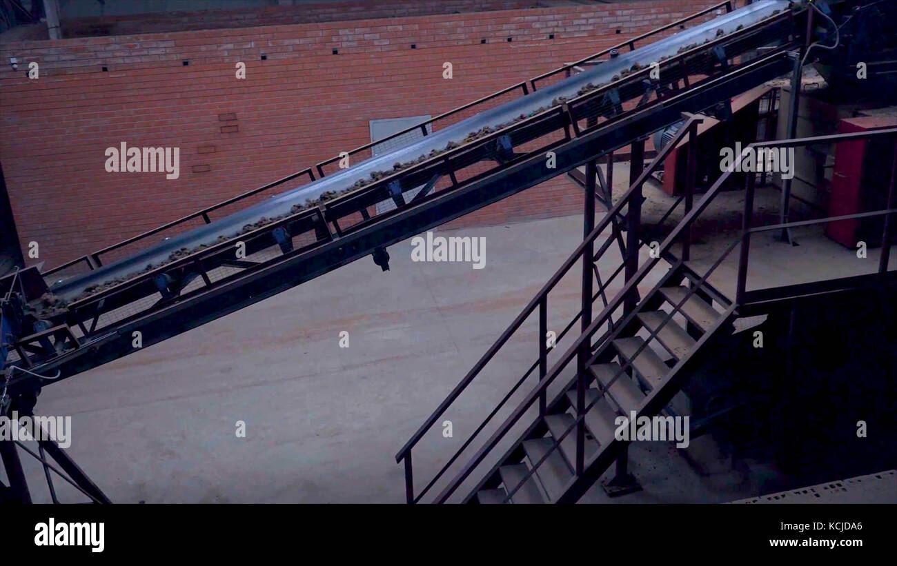 Industrial belt conveyor. Moving Raw Materials. Long conveyor belt